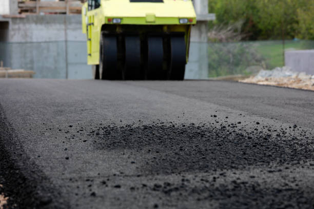 Best Driveway Pavers Near Me  in Rayville, LA